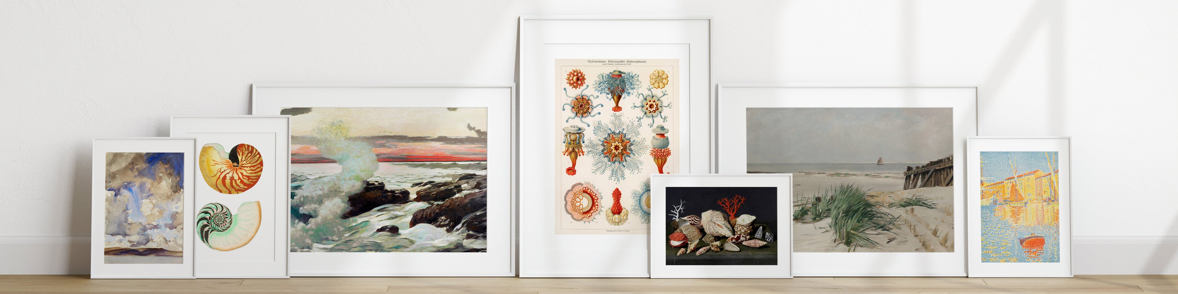 Coastal - Piccolo Fiore Prints