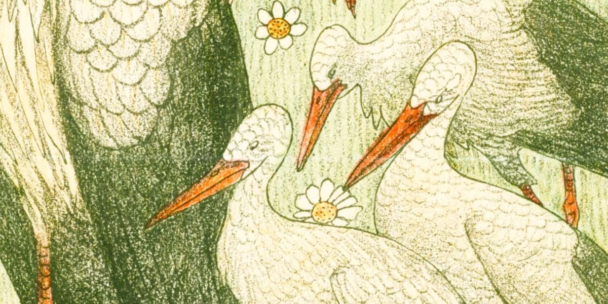 Historical Wildlife - Piccolo Fiore Prints