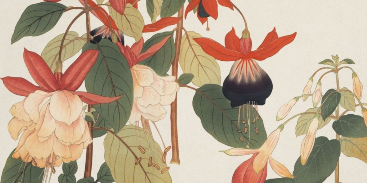 Japanese Floral Woodblock - Piccolo Fiore Prints