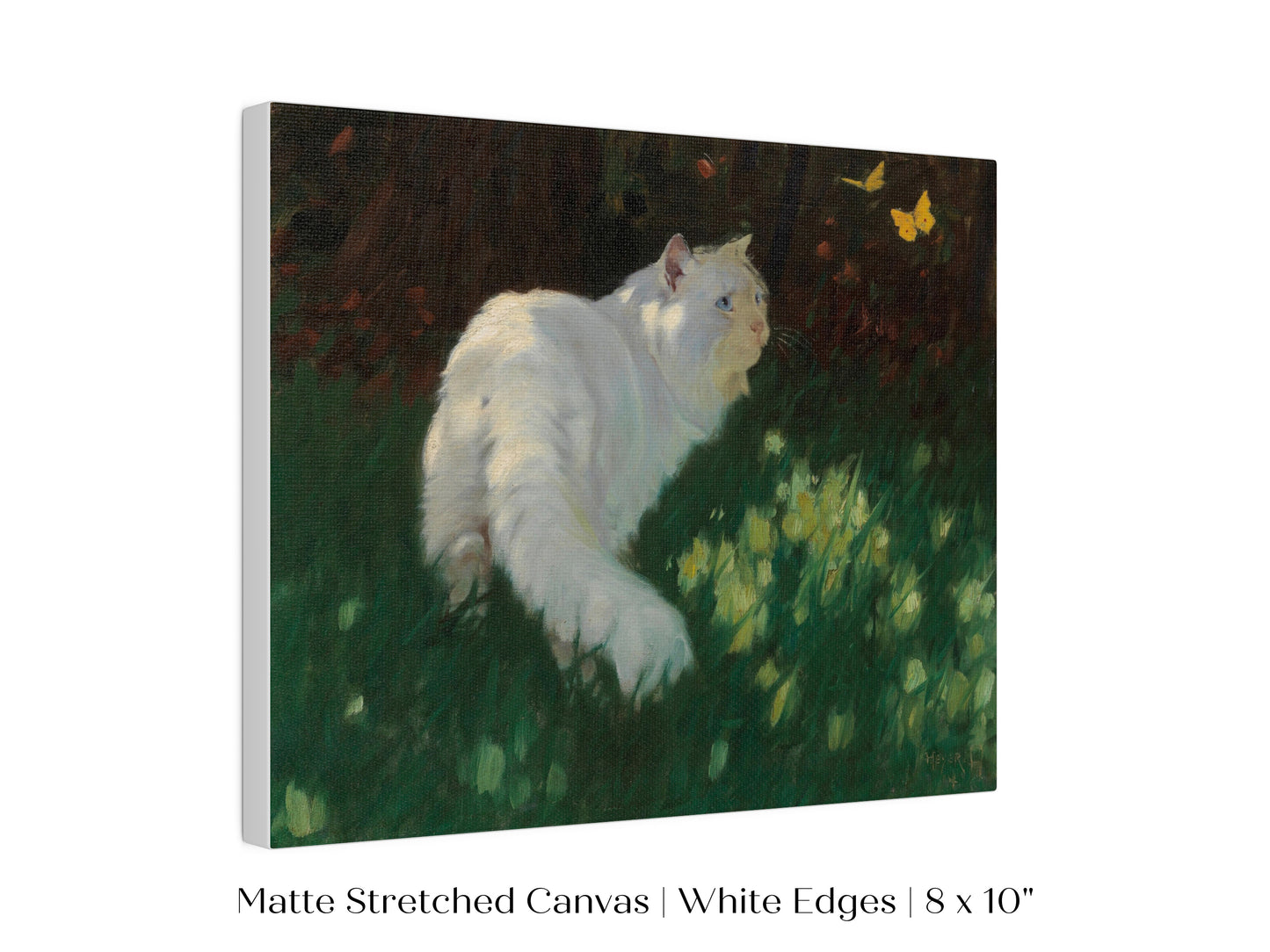 White Cat and Yellow Butterflies | P450