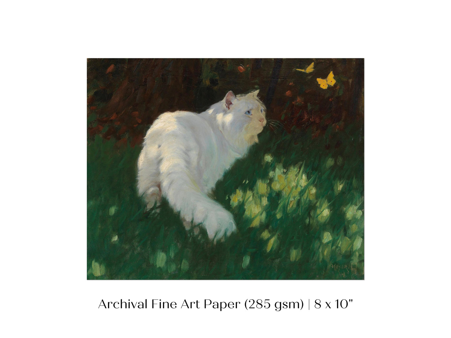 White Cat and Yellow Butterflies | P450