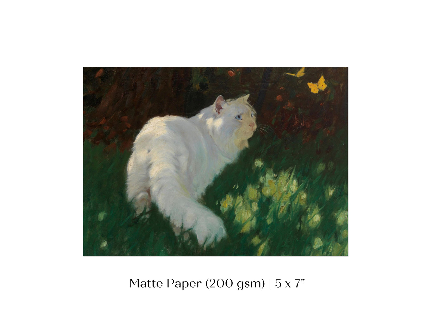 White Cat and Yellow Butterflies | P450