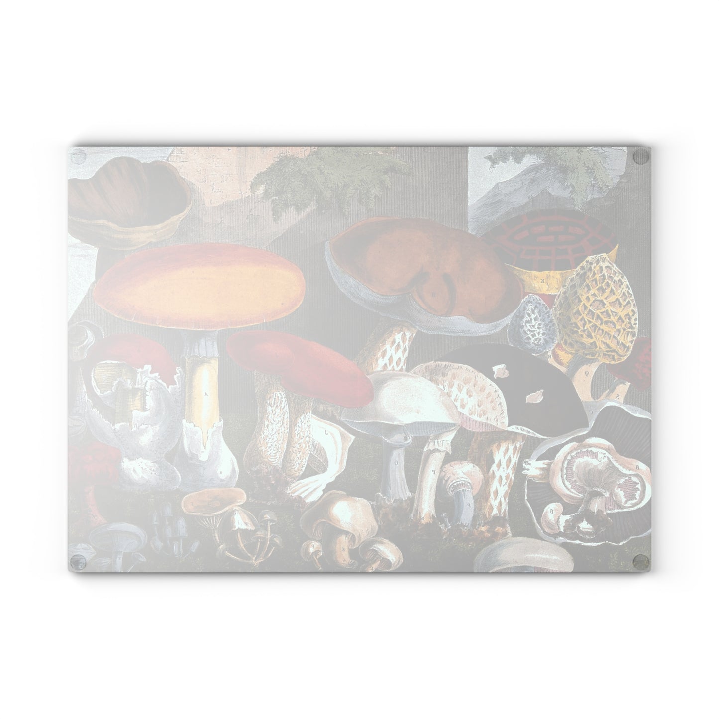 Fungi Gathering | Glass Chopping Board