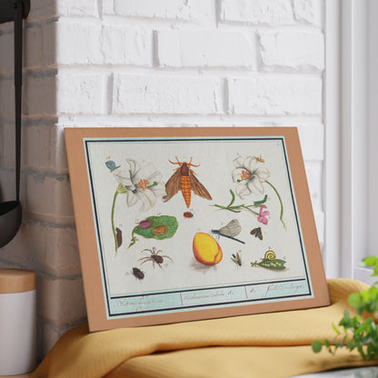 Natural History Ensemble No. 5 | Glass Chopping Board