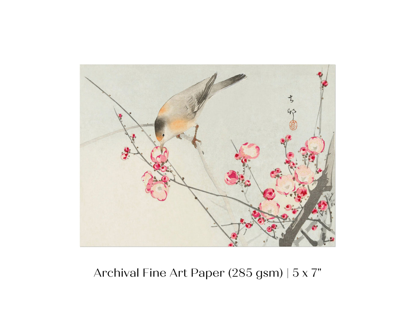 Songbird on Blossom Branch | P147