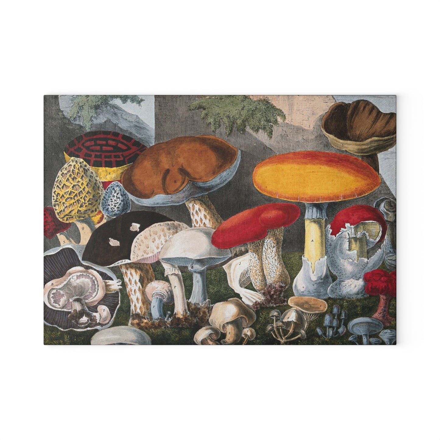 Fungi Gathering | Glass Chopping Board