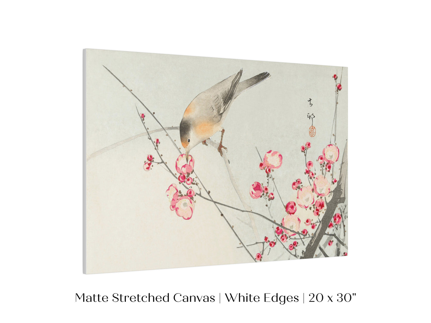 Songbird on Blossom Branch | P147