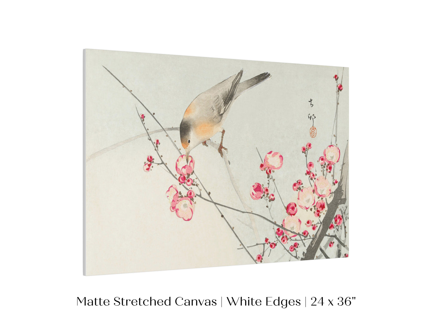 Songbird on Blossom Branch | P147