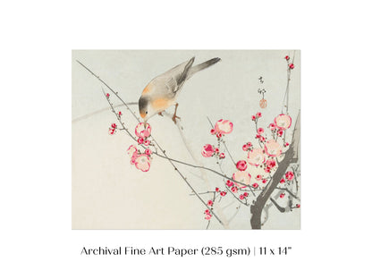Songbird on Blossom Branch | P147