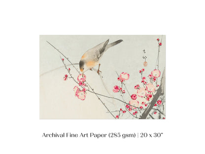 Songbird on Blossom Branch | P147