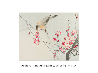 Songbird on Blossom Branch | P147