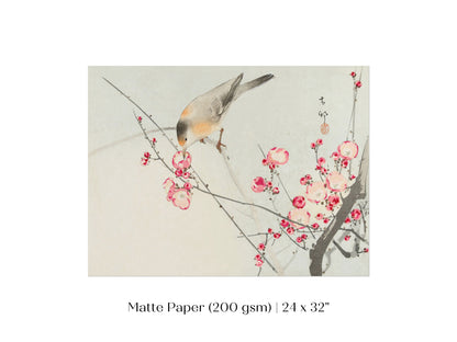 Songbird on Blossom Branch | P147