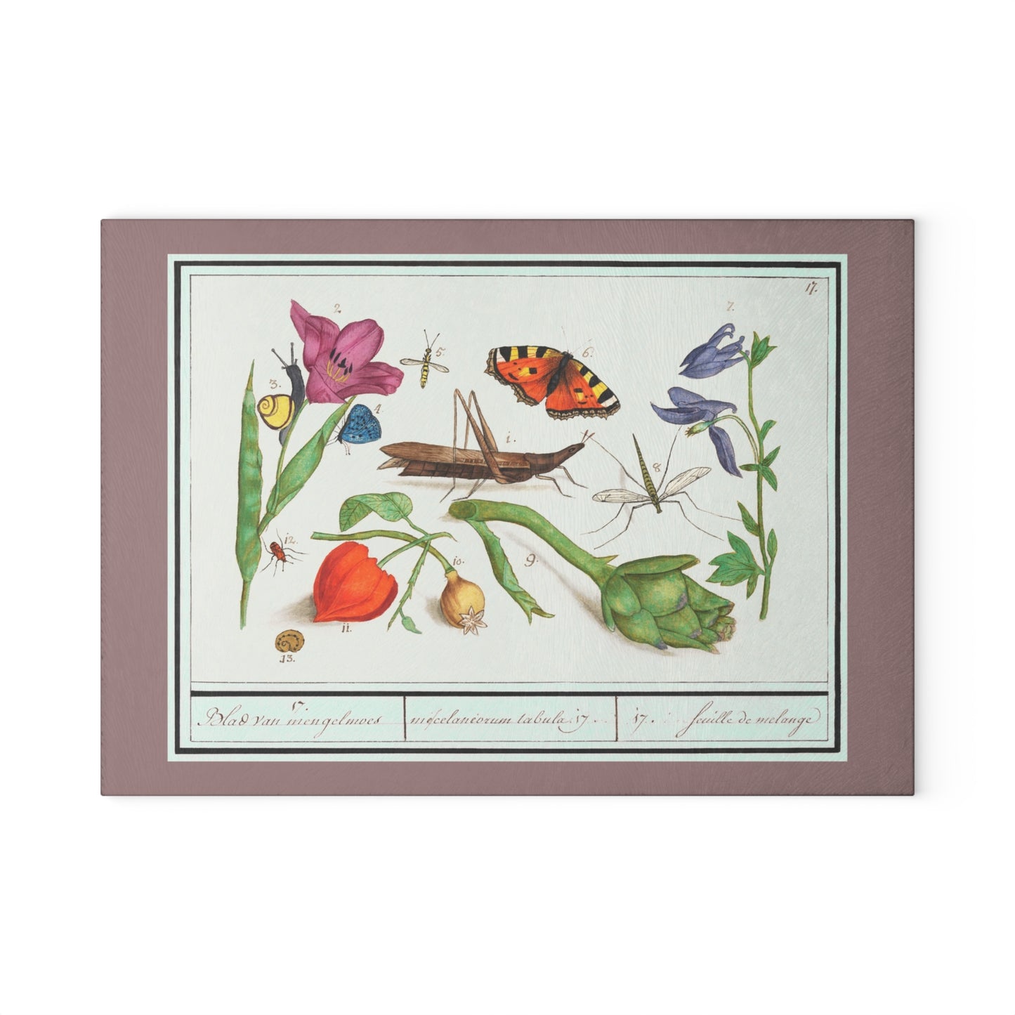 Natural History Ensemble No. 17 | Glass Chopping Board