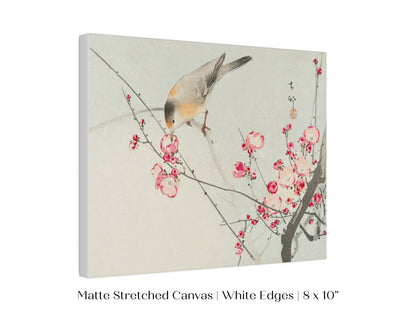 Songbird on Blossom Branch | P147