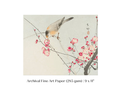 Songbird on Blossom Branch | P147