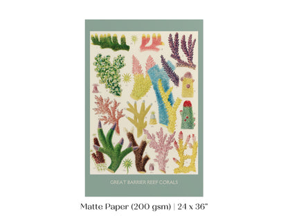 Great Barrier Reef Coral | P501