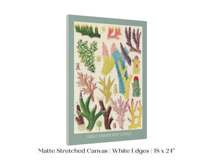 Great Barrier Reef Coral | P501