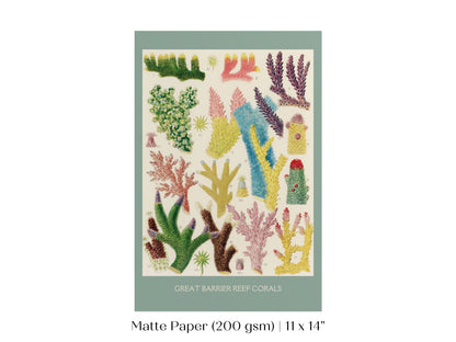 Great Barrier Reef Coral | P501