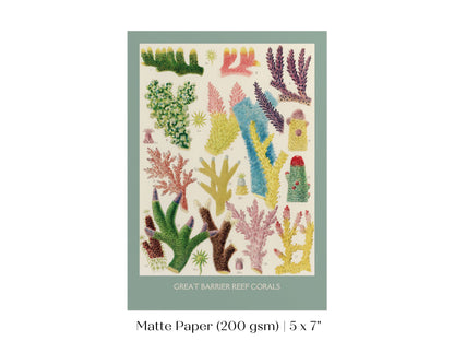 Great Barrier Reef Coral | P501