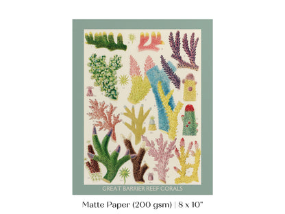 Great Barrier Reef Coral | P501