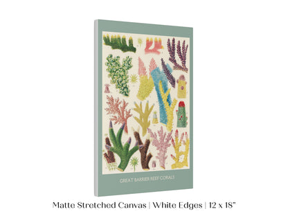 Great Barrier Reef Coral | P501