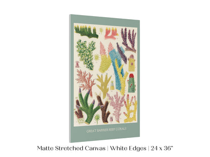 Great Barrier Reef Coral | P501