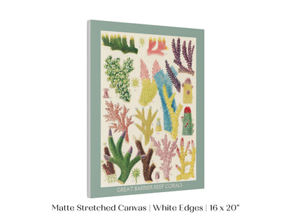 Great Barrier Reef Coral | P501