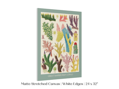 Great Barrier Reef Coral | P501