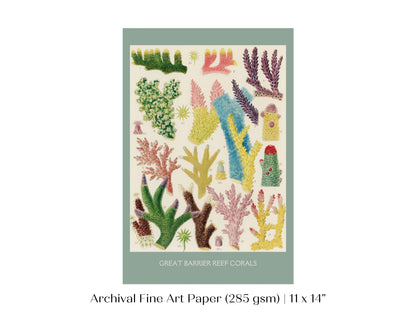 Great Barrier Reef Coral | P501