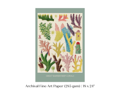 Great Barrier Reef Coral | P501