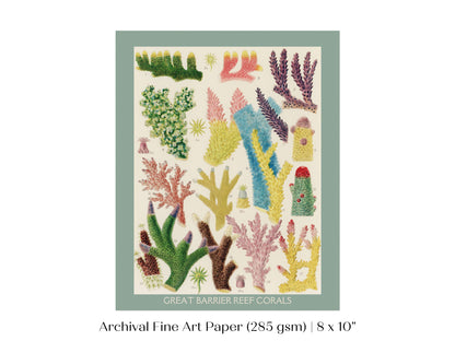 Great Barrier Reef Coral | P501