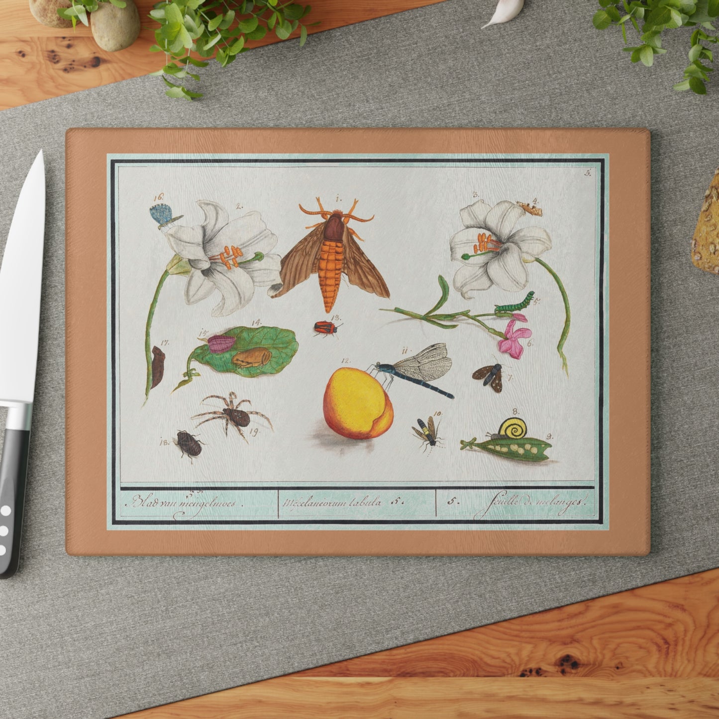 Natural History Ensemble No. 5 | Glass Chopping Board