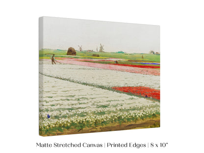 Tulip Fields | P108