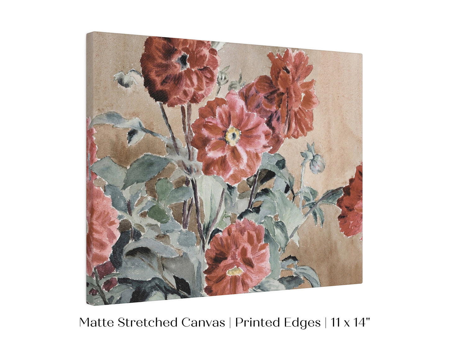 Dahlias | P390