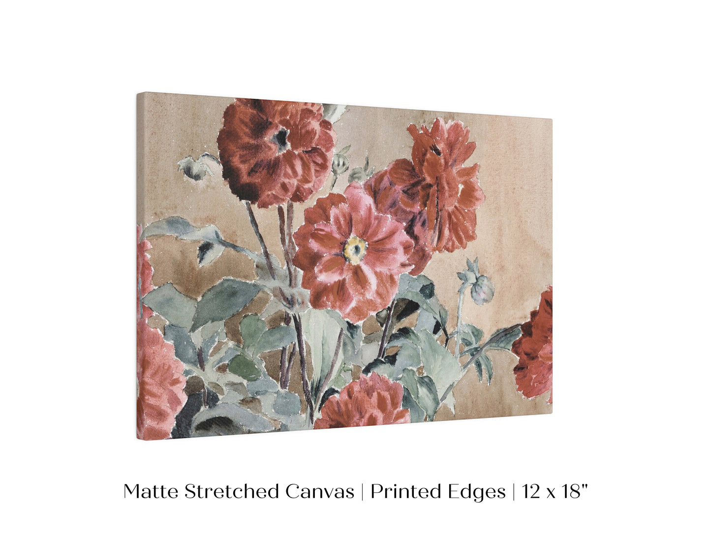 Dahlias | P390