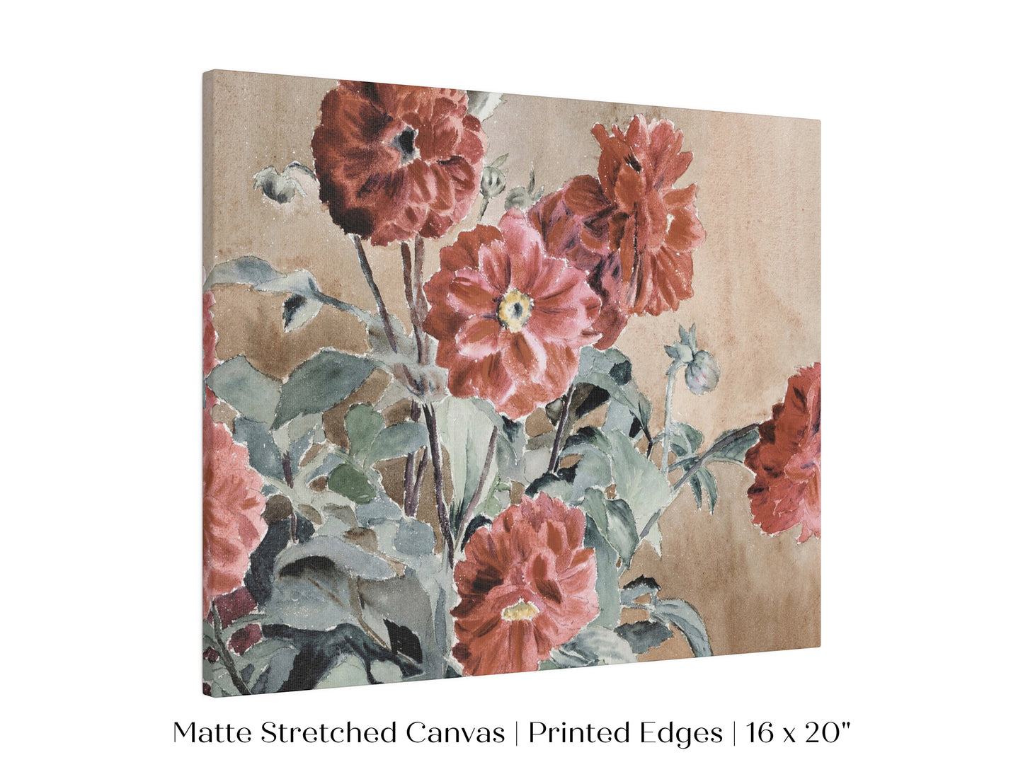 Dahlias | P390
