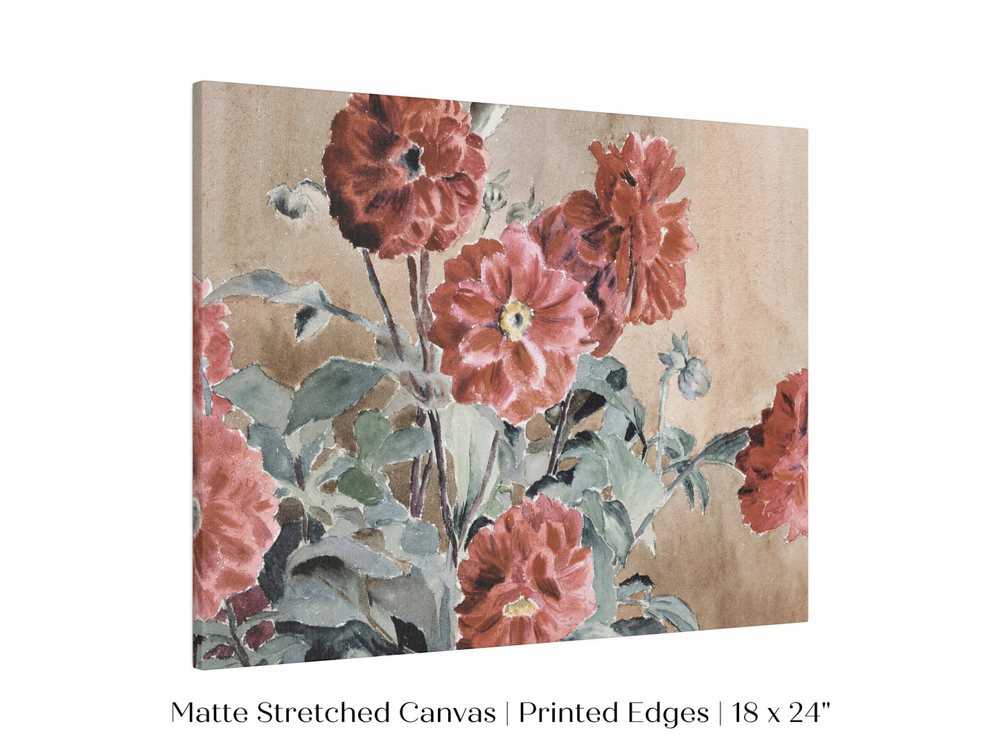 Dahlias | P390