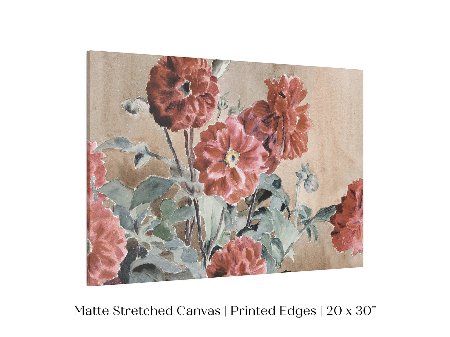 Dahlias | P390