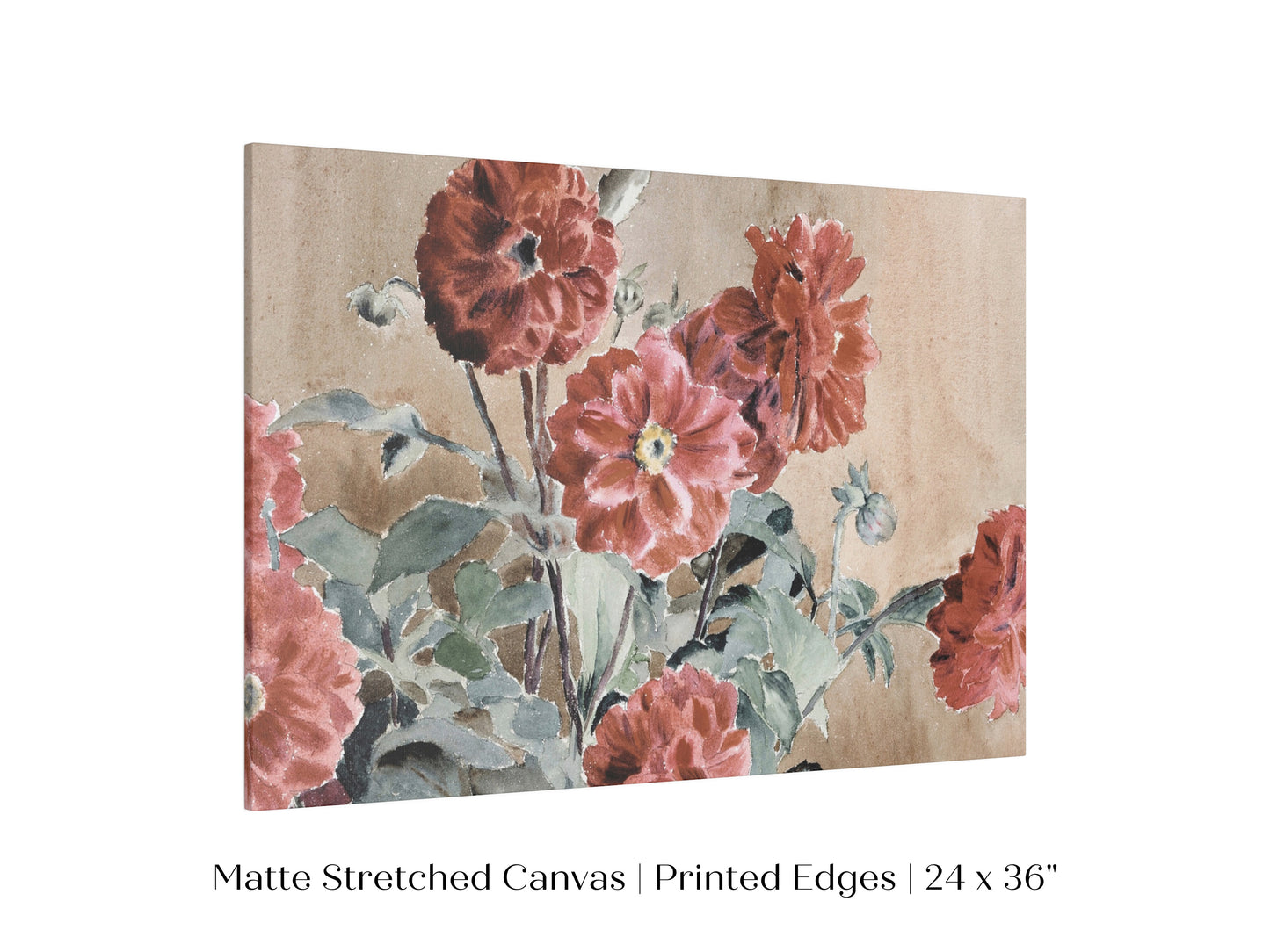 Dahlias | P390