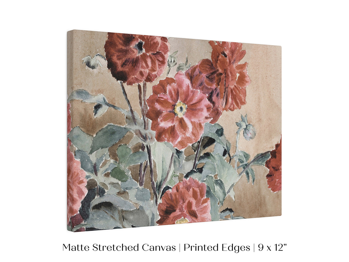 Dahlias | P390