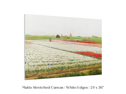 Tulip Fields | P108