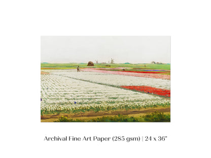 Tulip Fields | P108