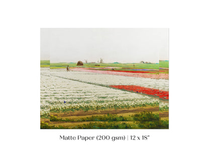 Tulip Fields | P108