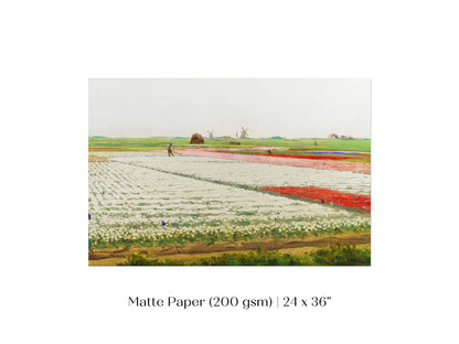 Tulip Fields | P108