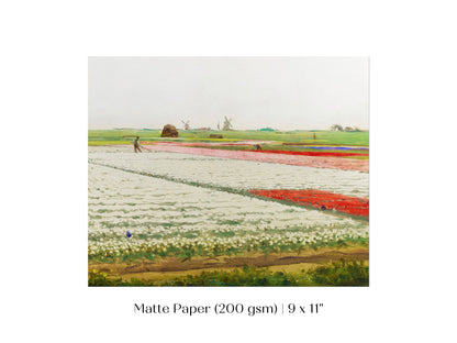 Tulip Fields | P108