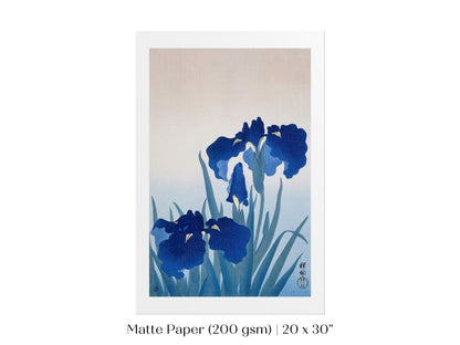 Blue Iris | Vintage Japanese Art | P156