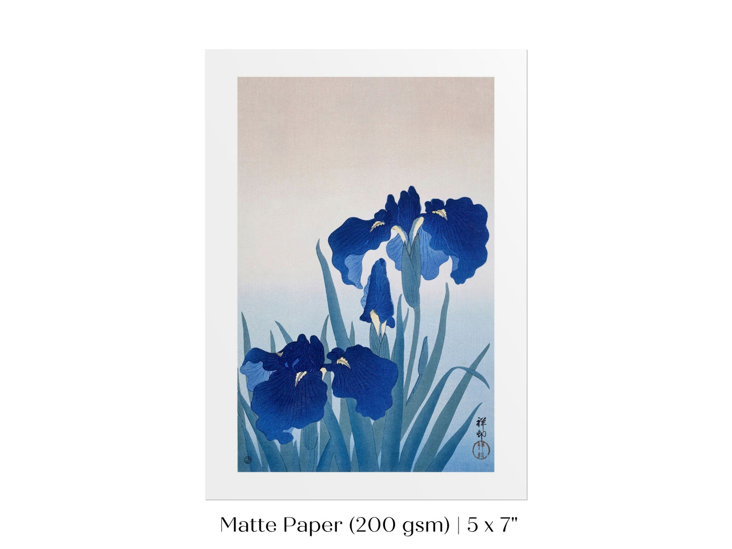 Blue Iris | Vintage Japanese Art | P156
