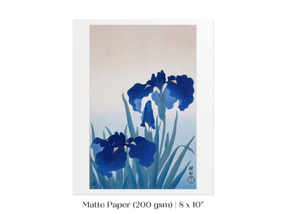 Blue Iris | Vintage Japanese Art | P156