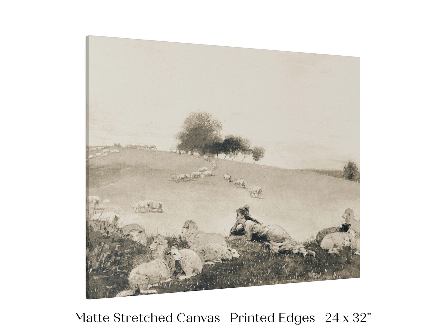 Shepherdess | P397