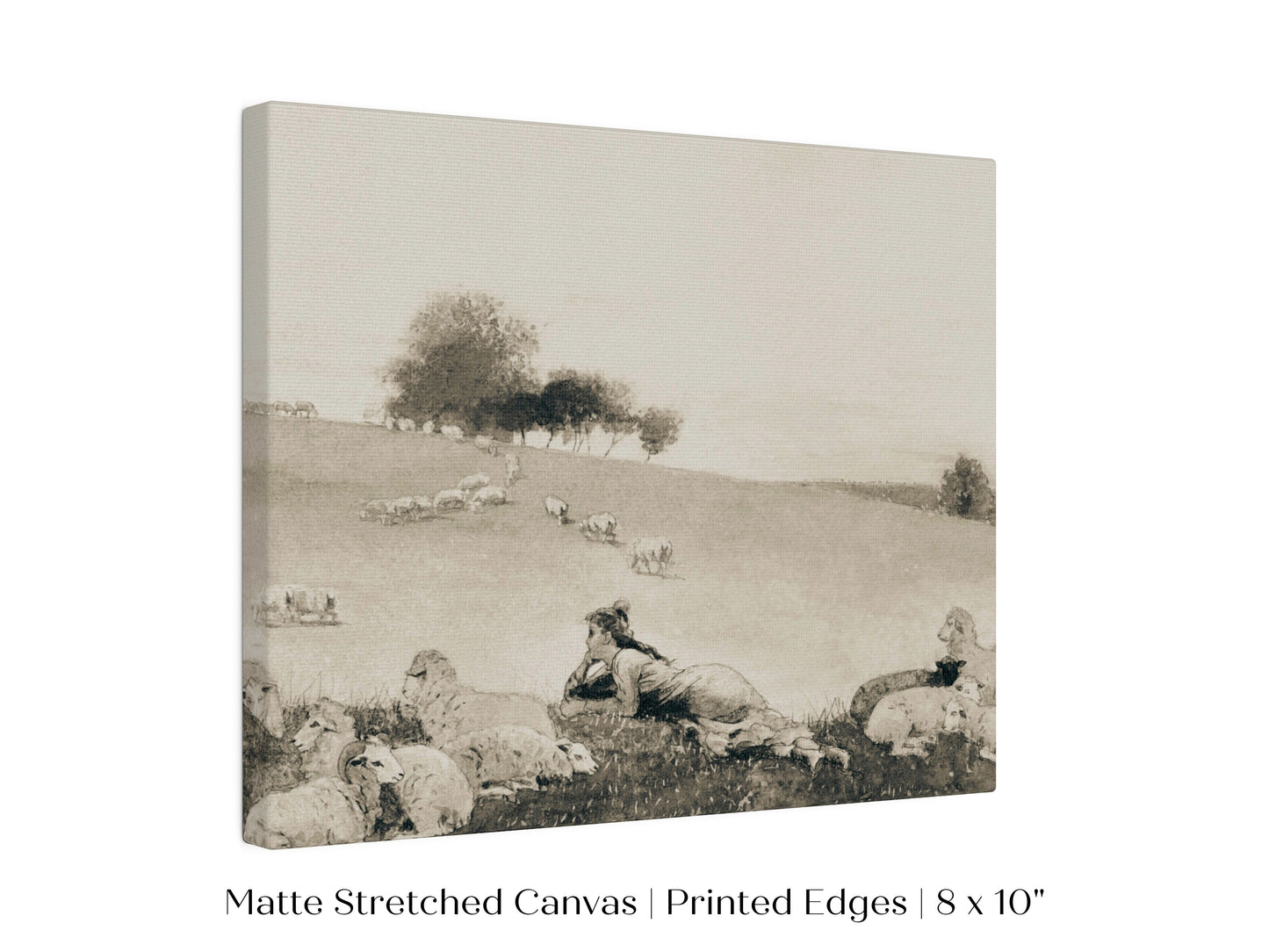 Shepherdess | P397